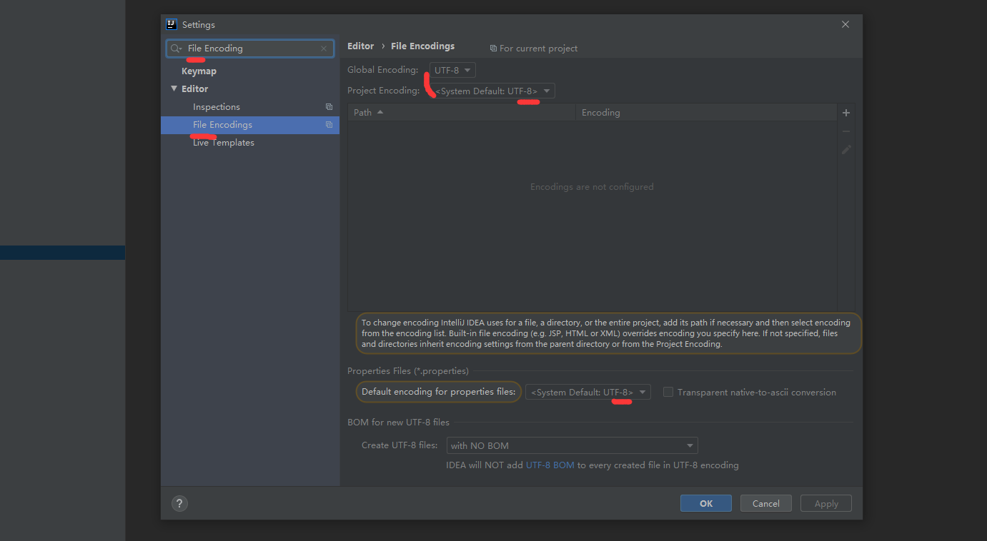 XSDK项目编码设置